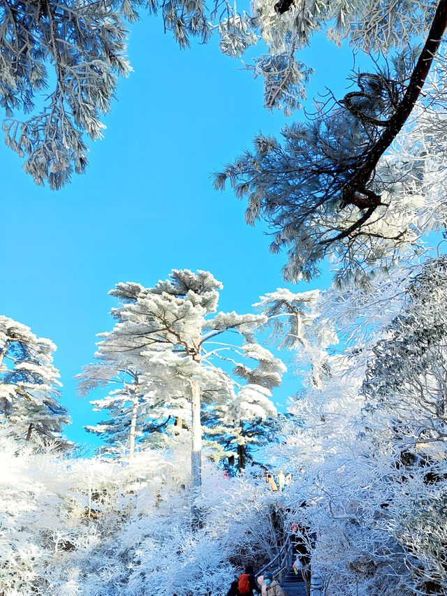 古人不曾欺我——登黃山天下無山，觀止矣