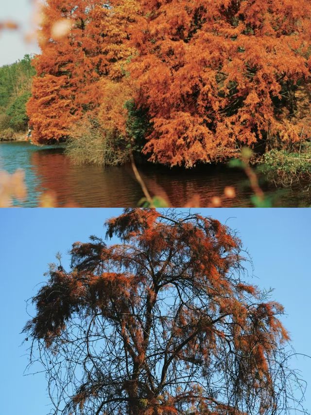 蘭溪一日遊：江浙滬周末休閒好去處