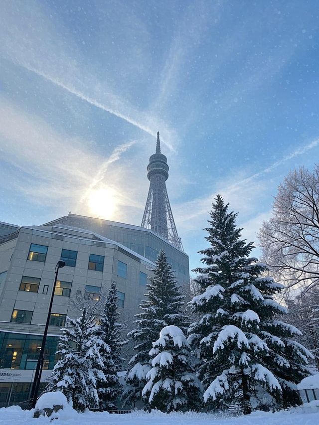 札幌，一座令人心醉的城市！