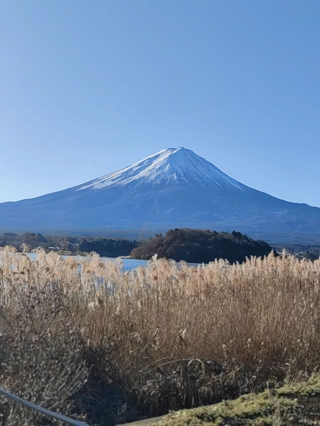 春節去日本 5日暢遊攻略來啦