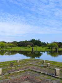 宜蘭丨徜徉在一整片的落羽杉森林裡丨羅東運動公園