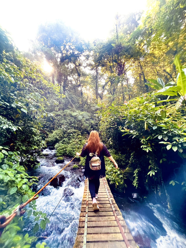 Back To Nature 🇮🇩✨