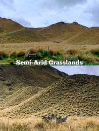 🇳🇿 Grasslands in New Zealand's South Island