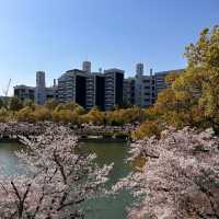 Exploring the Wonders of Hiroshima Castle!