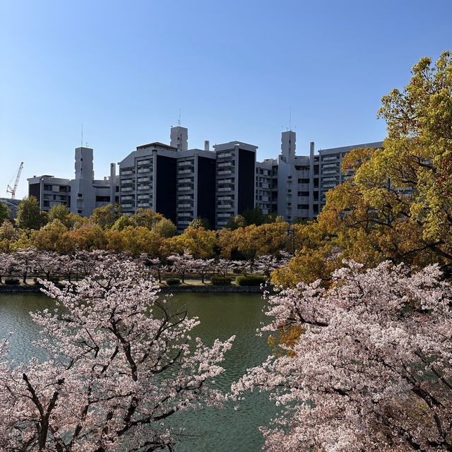 Exploring the Wonders of Hiroshima Castle!