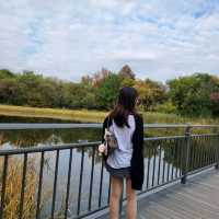 Seoul Forest Park 