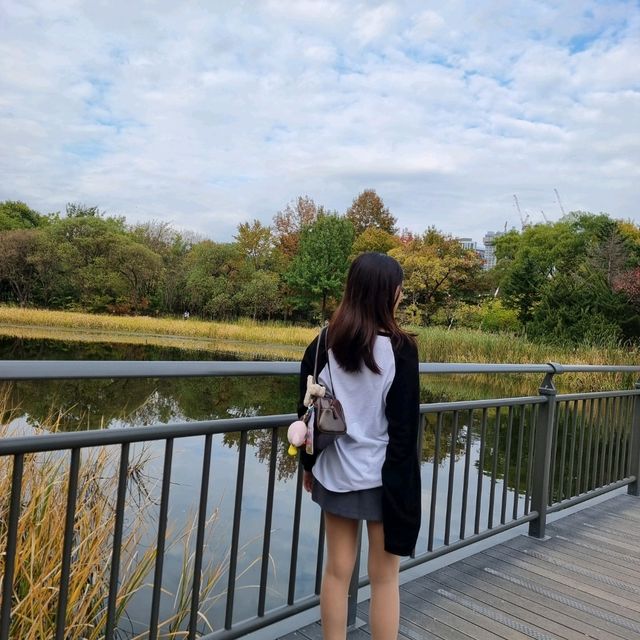 Seoul Forest Park 