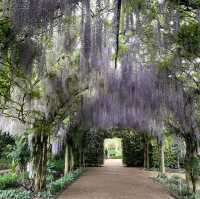  Alowyn Gardens: A Floral Paradise in Yarra Glen 