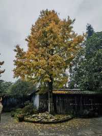 大邑白岩寺