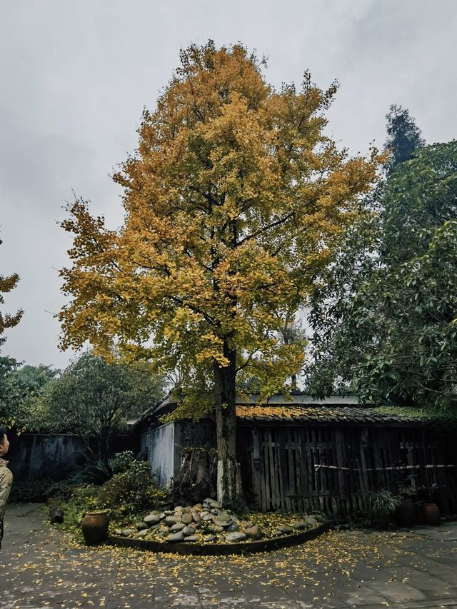 大邑白岩寺