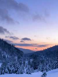 這裡不是挪威芬蘭！這裡是東北雪谷霧凇嶺！！！