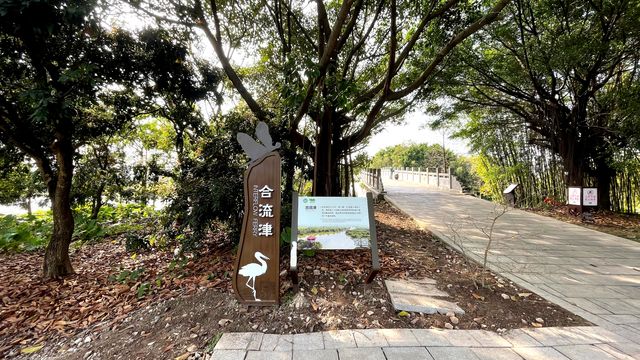 不容錯過的海珠國家濕地公園南區