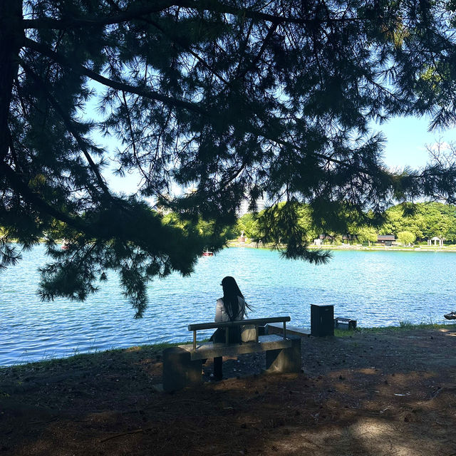 福岡市大濠公園 Ohori Park