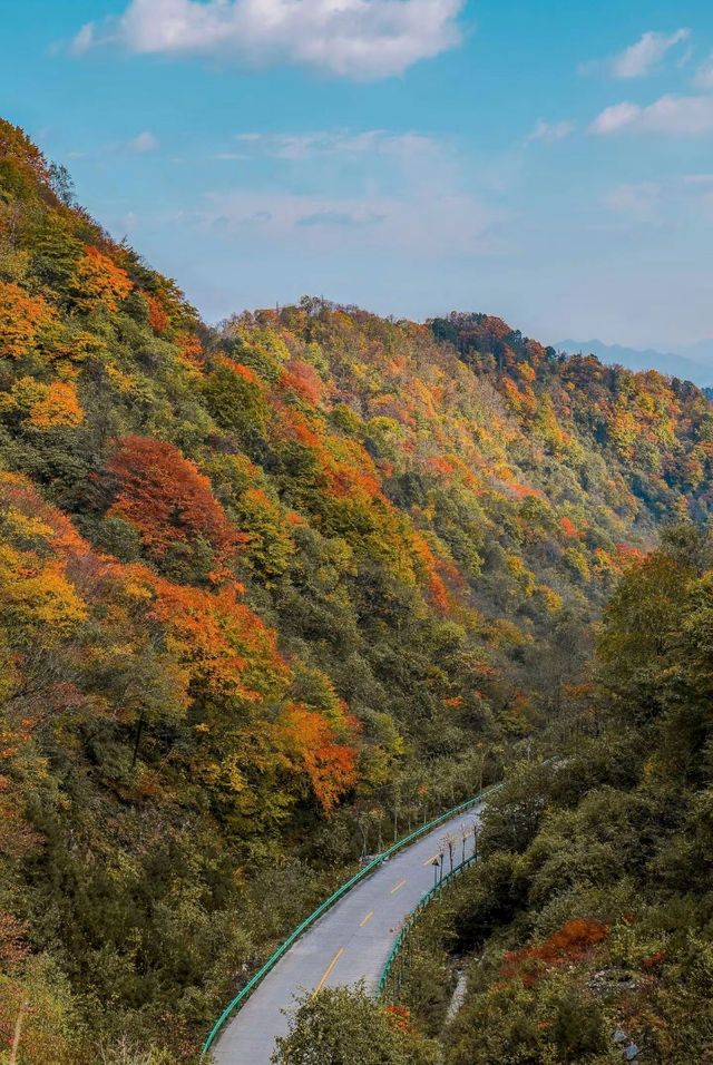 秋天旅遊推薦之秦嶺。