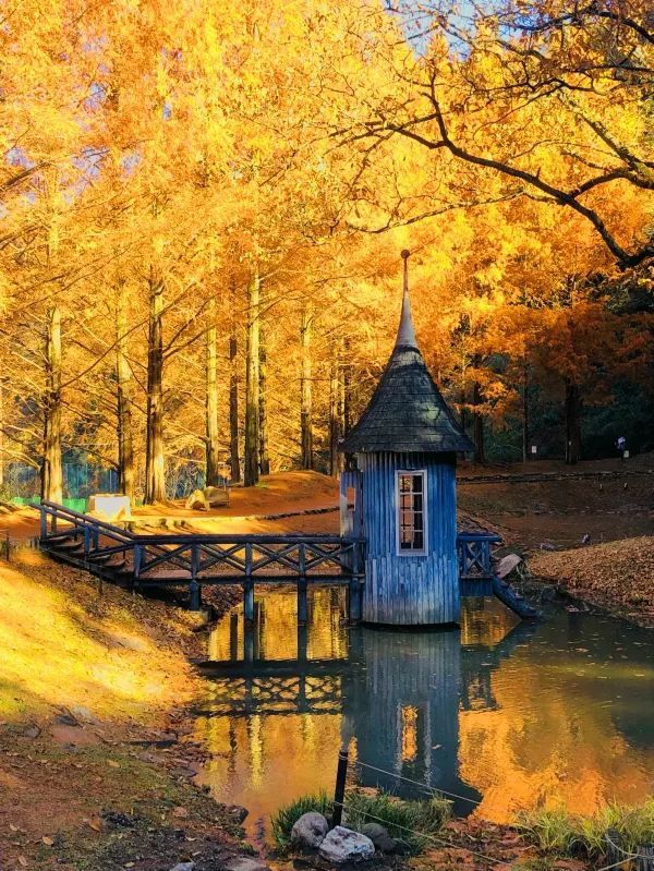 Autumn, a Fairy Tale World for You!