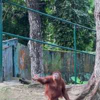 馬來西亞國家動物園