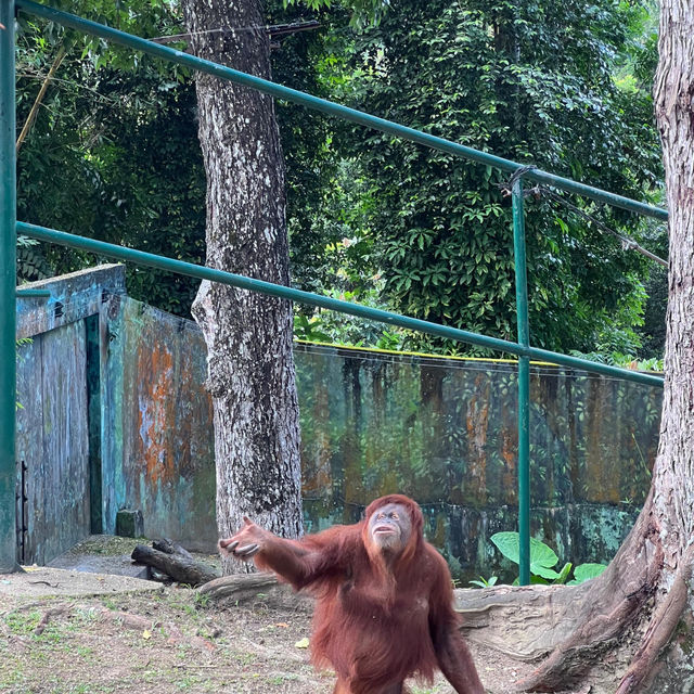 馬來西亞國家動物園