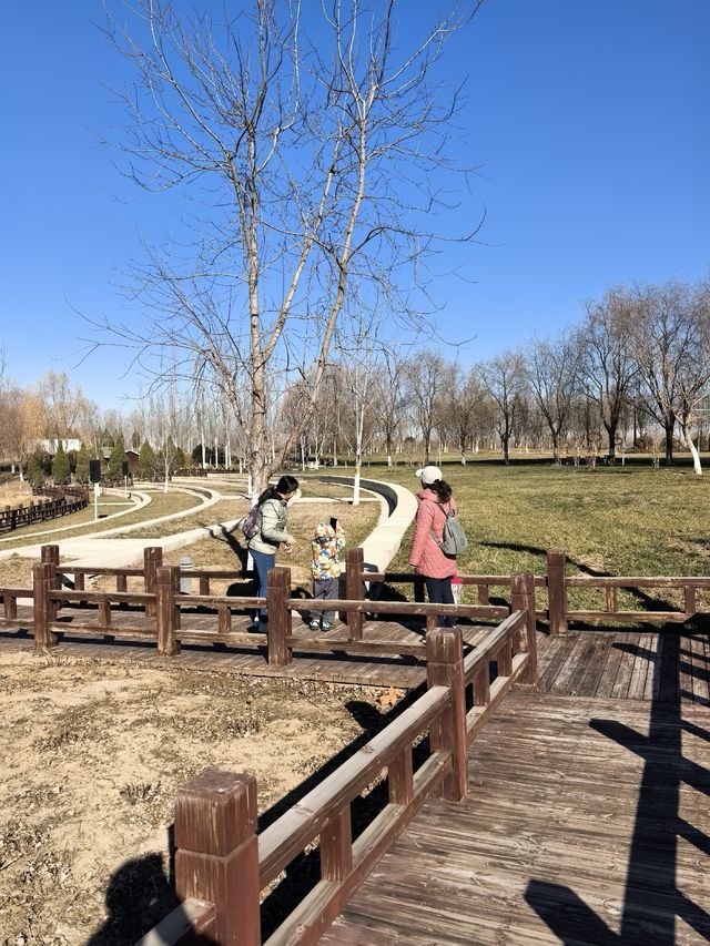 北京大興機場興旺公園冬日遛娃