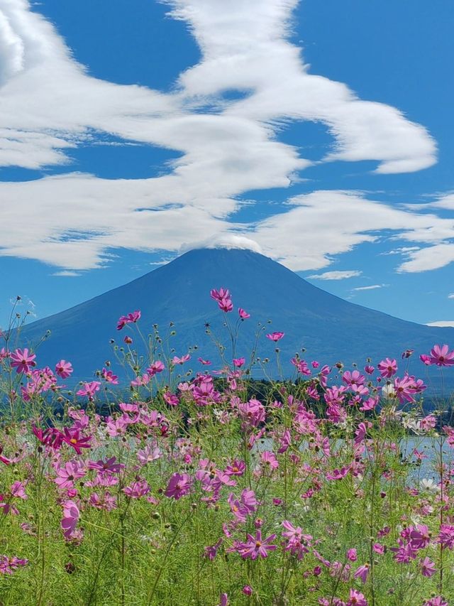 元旦邂逅日本 美如畫卷的旅行攻略