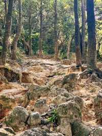 鳳凰之巔：珠海鳳凰山行記