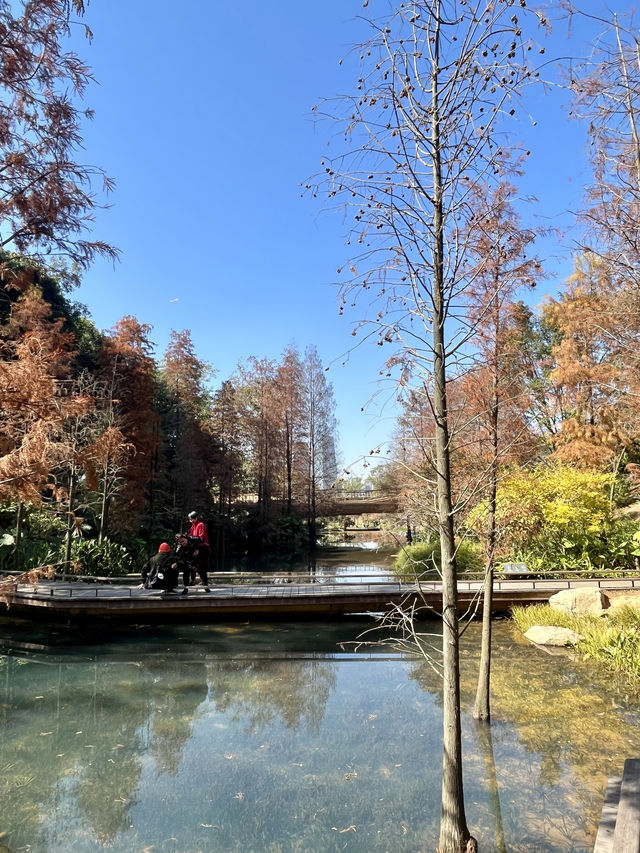 雲溪植物園