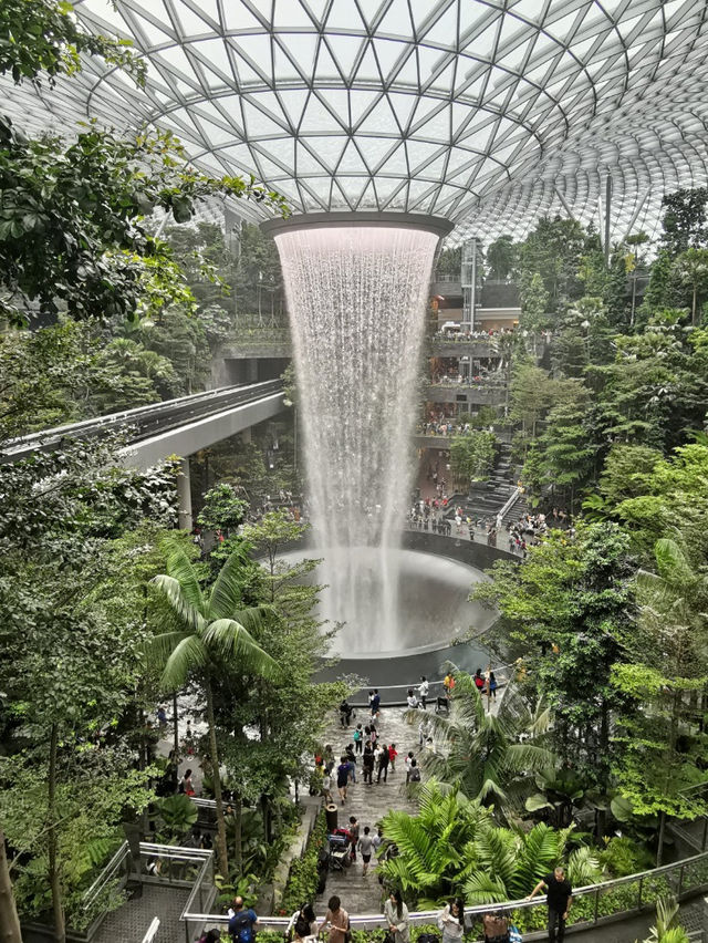 Nature theme airport