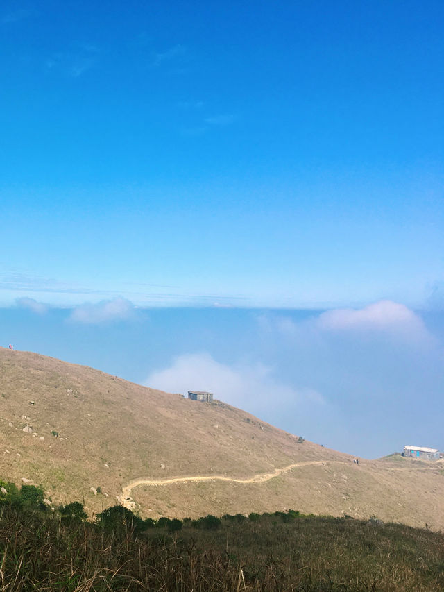 【大嶼山】大東山：登上香港第三高峰，探索神秘石屋