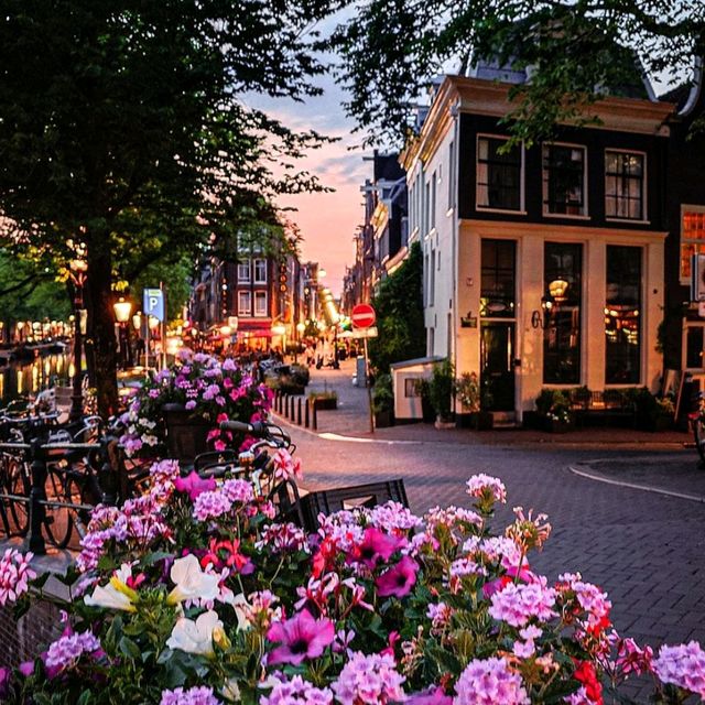 🇳🇱 Amsterdam Night: Dutch Charm under the Stars ✨🌙