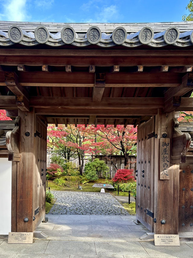 世界遺産姫路城を望む日本庭園✨紅葉を眺めながら食事！