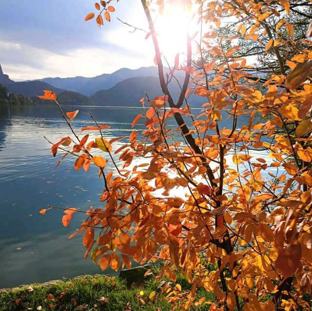 Lake bled is so beautiful in autumn 