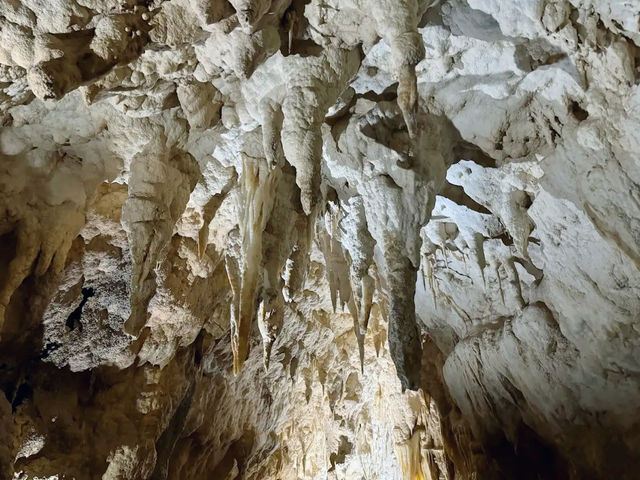 A Magical Journey Through Waitomo Glowworm Caves