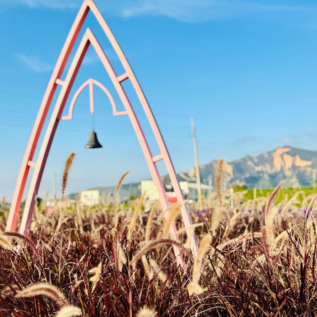 A Colorful Day Out at Chung She Flower Garden