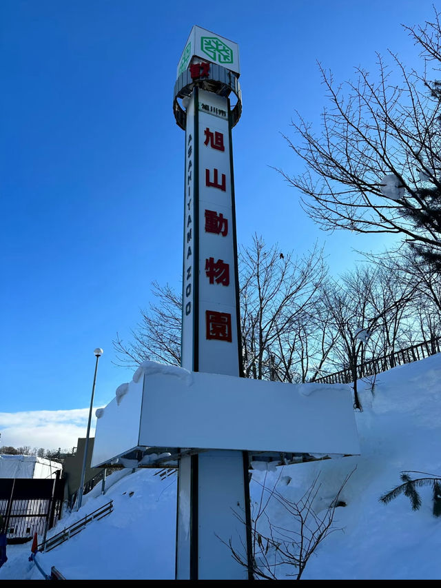 Asahiyama Zoo: A Unique Animal Experience in Hokkaido