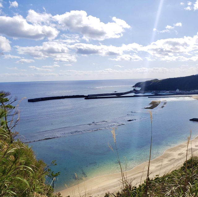 【沖縄本島】おすすめのドライブコース北部編