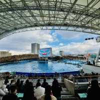 名古屋港水族館