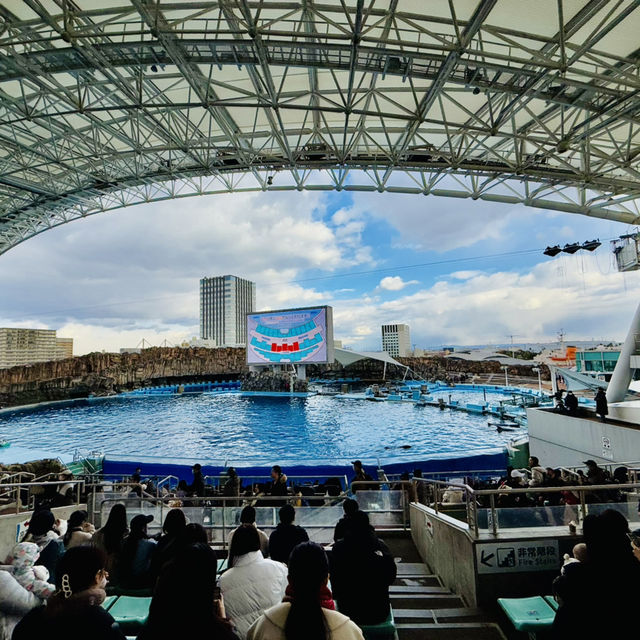 名古屋港水族館