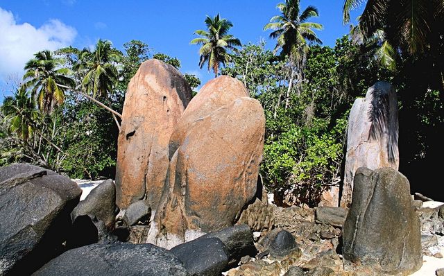 Savoring Serenity in Seychelles 🏝️