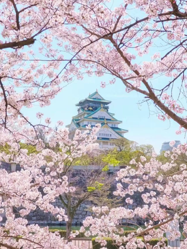 Osaka Castle park full of flowers 💐🇯🇵