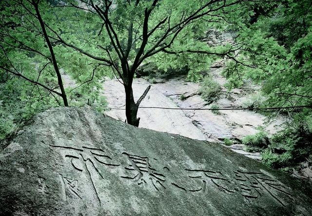 王順山國家森林公園：綠海波濤，奇峰異石，自然奇觀盡收眼底