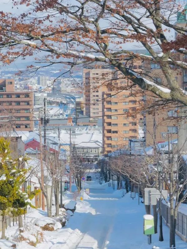 2025 Hokkaido Exclusive Snow Lantern Festival, Save the Date!