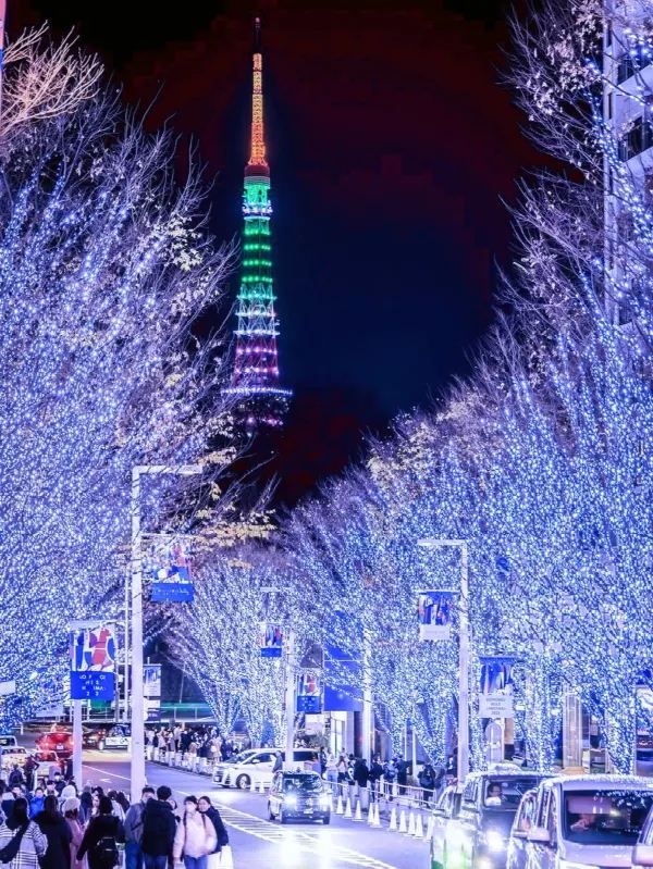 Tokyo's Exclusive Christmas Illumination is Back!