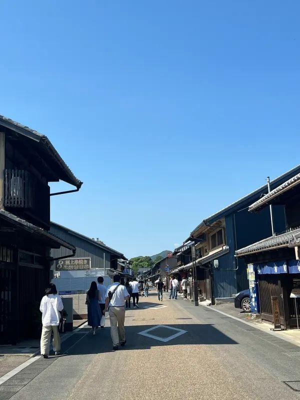 Half a Day in Inuyama, Totally Worth It 🏯