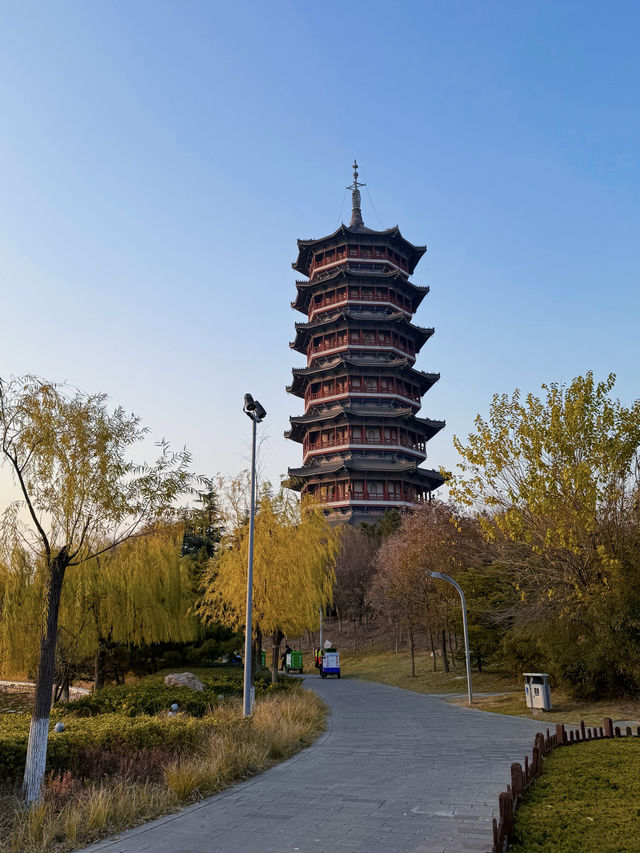 少海濕地公園！太適合周末遛娃啦