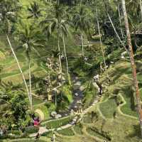 Ubud: A Tropical Escape into Bali’s Heart 🌴✨