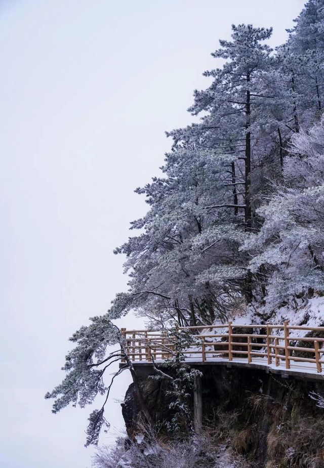 長沙冬日雪韻：明月山滑雪與溫泉之旅