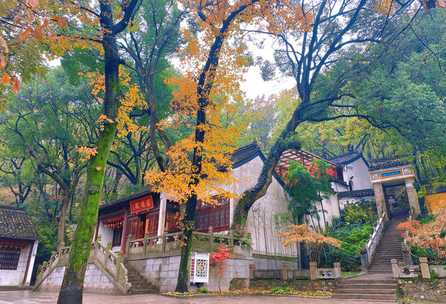 虞山｜那被寫進唐詩裏的「破山寺」——興福禪寺