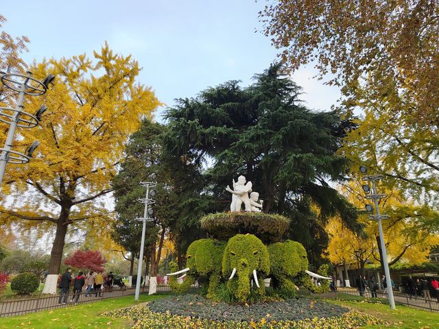 一園盡賞秋——玄武湖公園來南京市民公園感受生命力