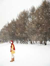 哈爾濱小眾玩雪地遇見下雪天像童話小鎮！