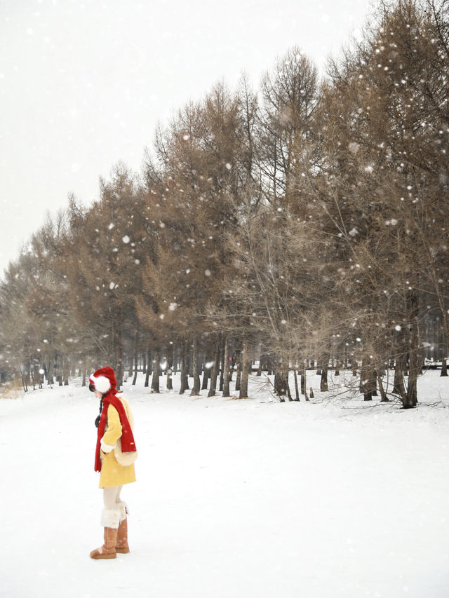 哈爾濱小眾玩雪地遇見下雪天像童話小鎮！