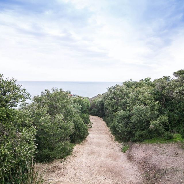 Secret Lookout at Great Ocean Road